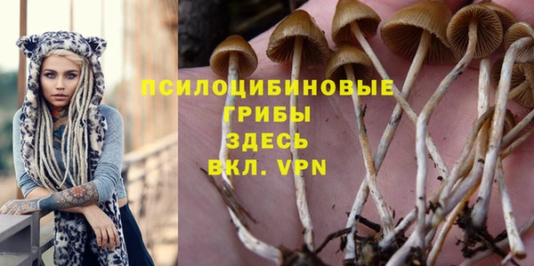 а пвп мука Карпинск